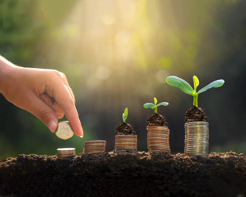 جمعية زاد الخيرية